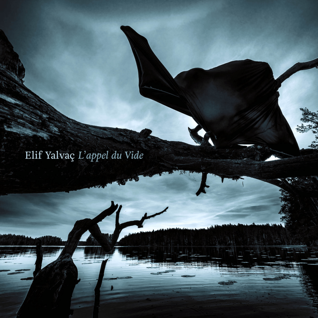 
L’appel Du Vide (2018) album cover by Christian Schnalzger 